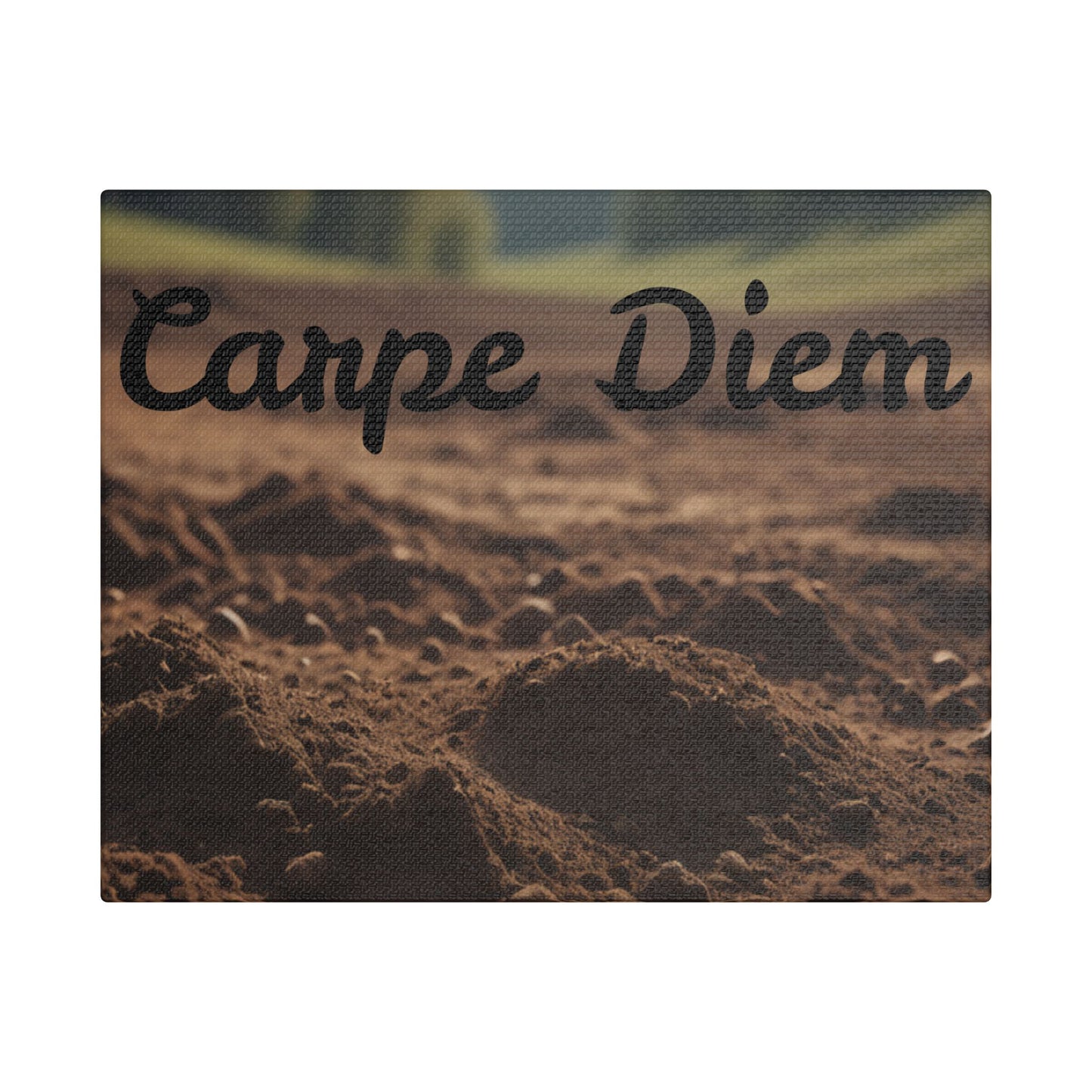 Inspirational 'Carpe Diem' Satin Canvas Wall Art