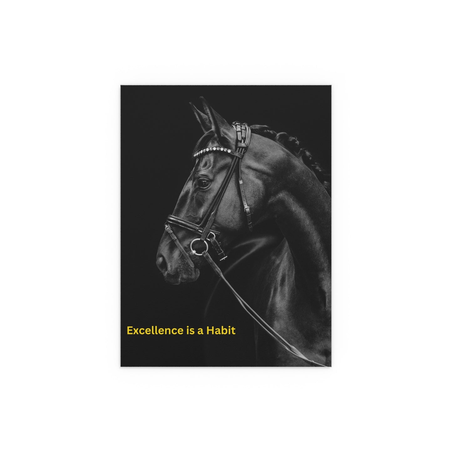 Equestrian Silk Poster - "Excellence is a Habit" - Perfect Wall Art for Horse Lovers