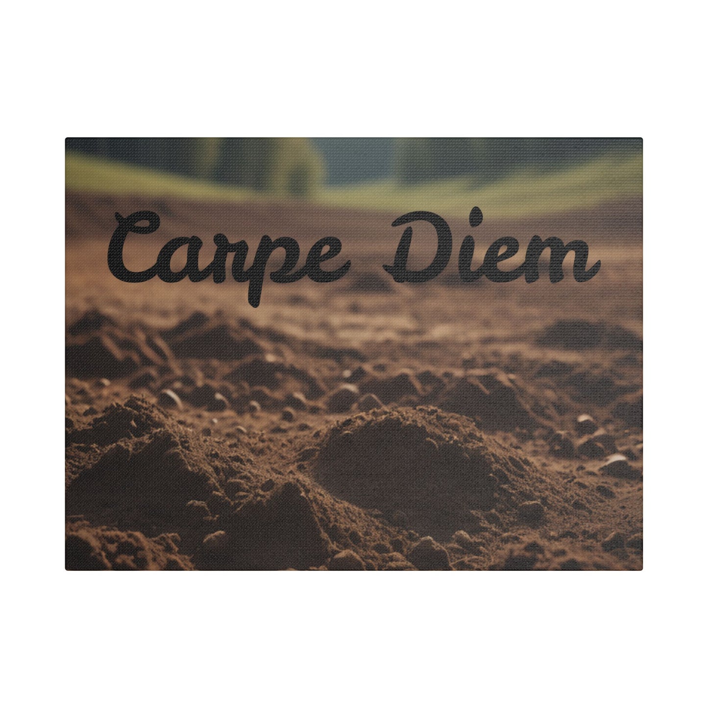 Inspirational 'Carpe Diem' Satin Canvas Wall Art