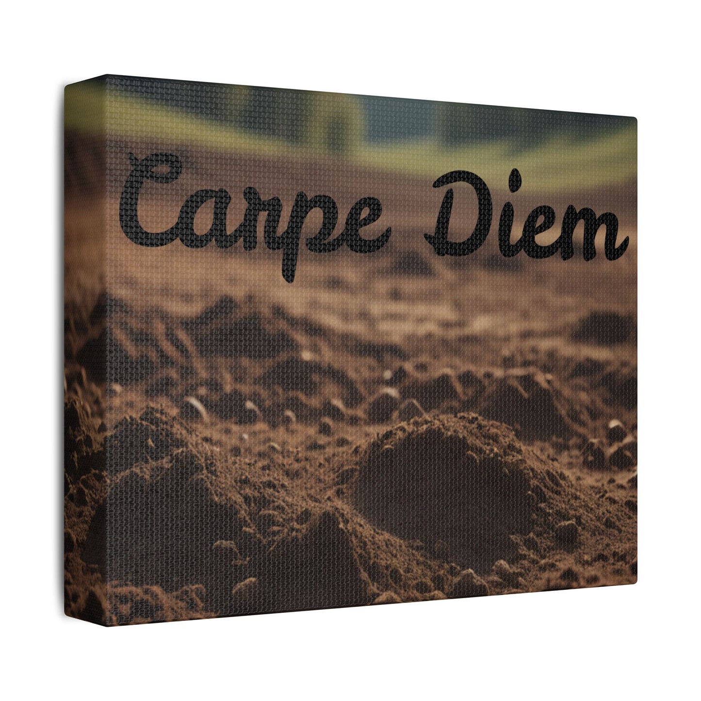Inspirational 'Carpe Diem' Satin Canvas Wall Art