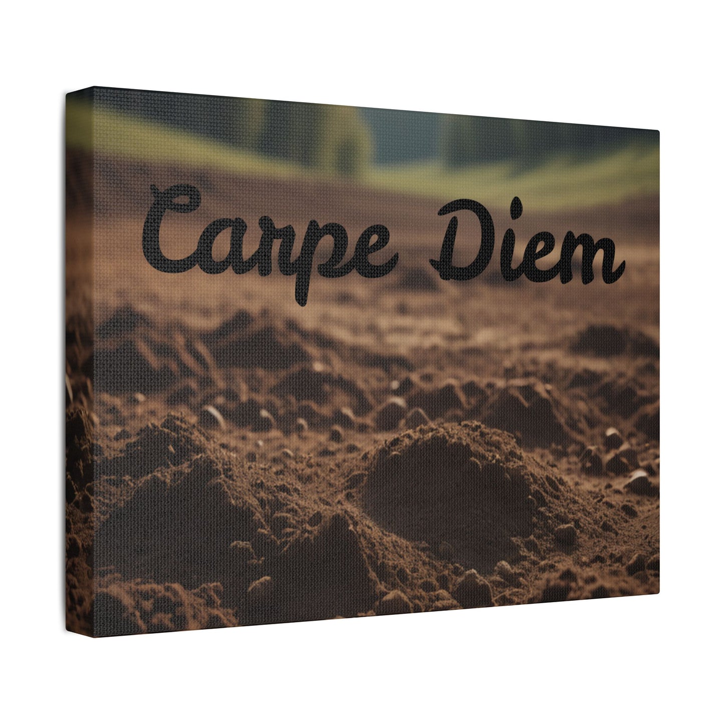 Inspirational 'Carpe Diem' Satin Canvas Wall Art