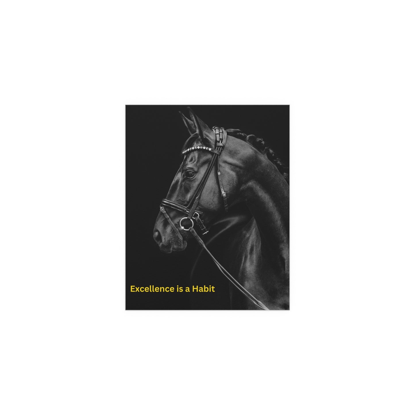 Equestrian Silk Poster - "Excellence is a Habit" - Perfect Wall Art for Horse Lovers